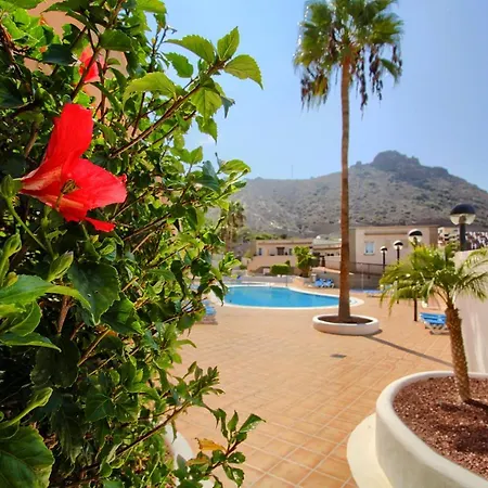 Enjoys Sea Views Tenerife South Island Costa Adeje (Tenerife)